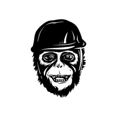 Monkey head hand drawn