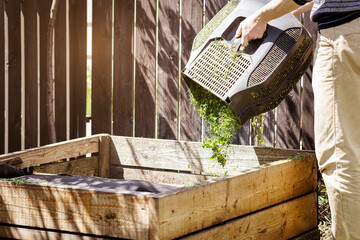 Grass into Compost Bin. Composting Cut Grass. Organic Humus. Recycling Waste in Garden concept.