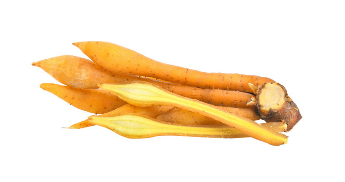 Kaempfer, finger root (Krachai) Thai herb on transparent png