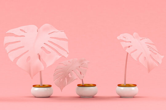 3D render of pink potted monstera plants standing against pink background
