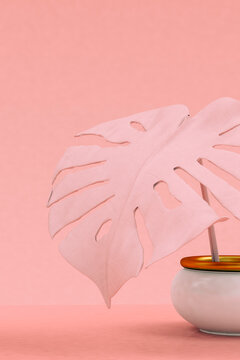 3D render of pink potted monstera plant standing against pink background
