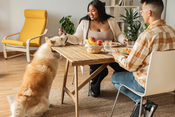 Woman feeding dog at breakfast table