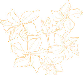 Hand Drawn Flower Illustration 