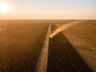 Combine harvester harvesting crops in vast corn field