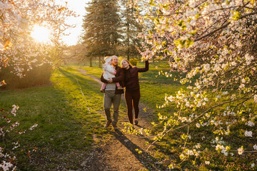Family walking near tree at park
