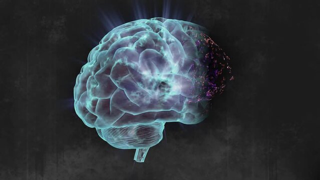 3d rotating brain with nerves 