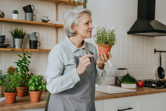 Mature woman smelling thyme plant in kitchen at home