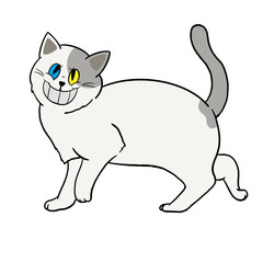 cat02