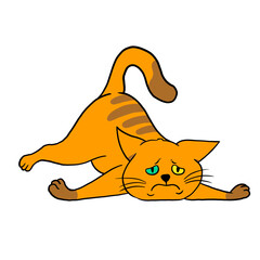 Fototapeta premium cat04