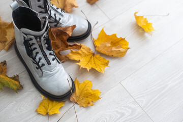 Fototapeta na wymiar dry autumn leaves and shoes