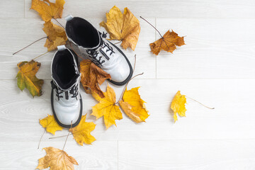 dry autumn leaves and shoes