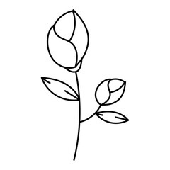 floral doodle illustration