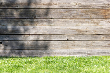 Sunlit wooden texture with the shadow of leaves