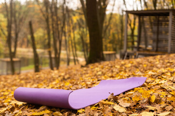 yoga mat in colorful autumn forest, beautiful workout outdoors