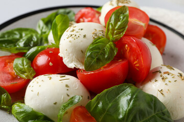 Concept of tasty Italian cuisine food - Caprese salad