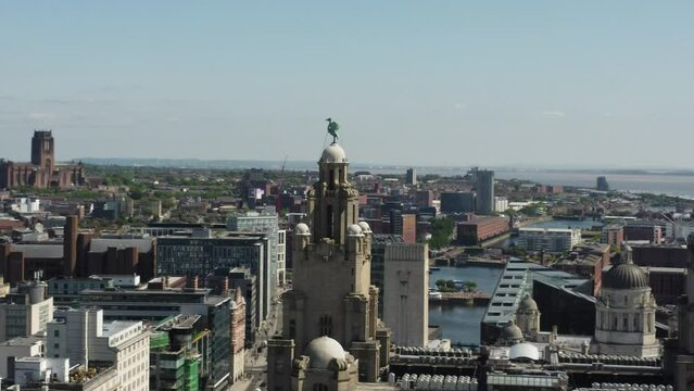 Liver building with the liver birds holding it high. looking down on the Liverpool city. 4K drone. 