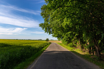 Road in European countryside.