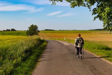 Fototapeta premium Active woman walking with Nordic poles. Summer day.