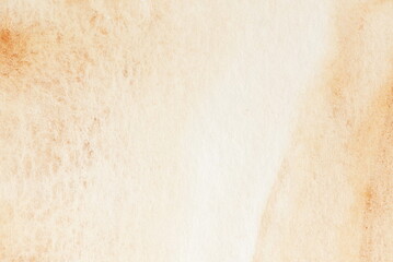 Watercolor texture. Abstract beige  white Painting background. Template.Copy space.Neutral color