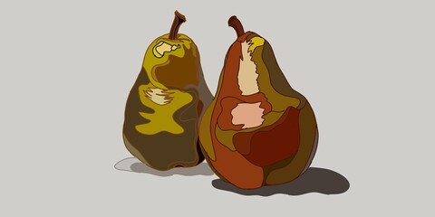 Two big pears isolated on grey background vector illustration 