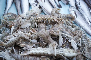 Krabben auf einem Markt Fisch