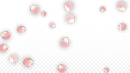 Pink Vector Realistic Petals Falling on Transparent Background.  Spring Romantic Flowers Illustration. Flying Petals. Sakura Spa Design. Blossom Confetti. Design Elements for Wedding Decoration.
