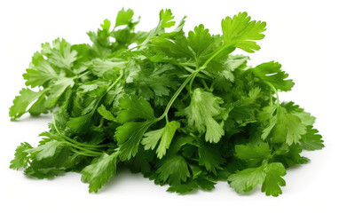 Fototapeta premium Coriander leaves isolated on white background, Generative AI