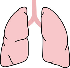 肺の医療イラスト