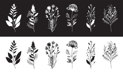 Minimalistic flower graphic sketch drawing, trendy tiny tattoo design, floral botanic elements minimal illustration. Vector. Black and White.