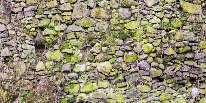 stone wall background. texture with mossy rocks