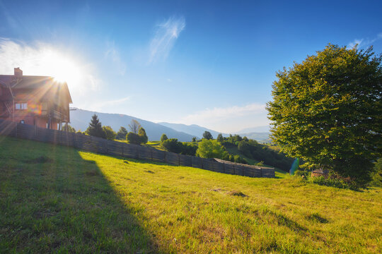 mountainous countryside of ukrainian carpathians. grassy meadows and forested hills