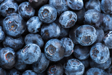 Close-up of fresh Blueberries (Northern Highbush Blueberry). Selective focus. Top  view
