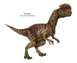 Dilophosaurus illustration. Dinosaur with crest on head. Brown dino