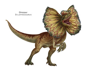 Dilophosaurus with frill illustration. Dinosaur with crest on head. Brown, yellow dino. Roar dino - 609873388