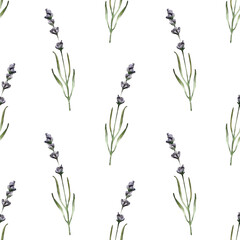 Watercolor floral seamless pattern with purple lavender flowers isolated. Herbal repeated pattern. Hand-drawn summer floral repeated background for fabric, clothing, wrapping paper, decor