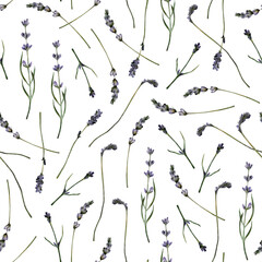 Watercolor floral seamless pattern with purple lavender flowers isolated. Herbal repeated pattern. Hand-drawn summer floral repeated background for fabric, clothing, wrapping paper, decor