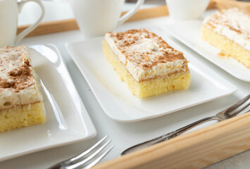 Sheet cake with sour cream, mandarin, cinnamon topping on plate