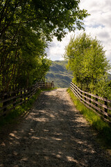 Fototapeta na wymiar Path in the Scottish countryside