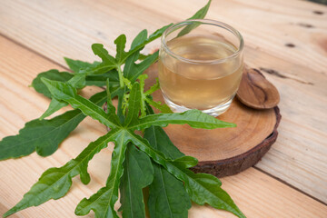 Abelmoschus manihot leaves in Indonesian it is called gedi leaf or pepaya jepang, the leaves resemble papaya leaves and have many health benefits and are often used as traditional herbal medicine