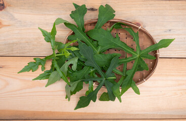 Abelmoschus manihot leaves in Indonesian it is called gedi leaf or pepaya jepang, the leaves resemble papaya leaves and have many health benefits and are often used as traditional herbal medicine