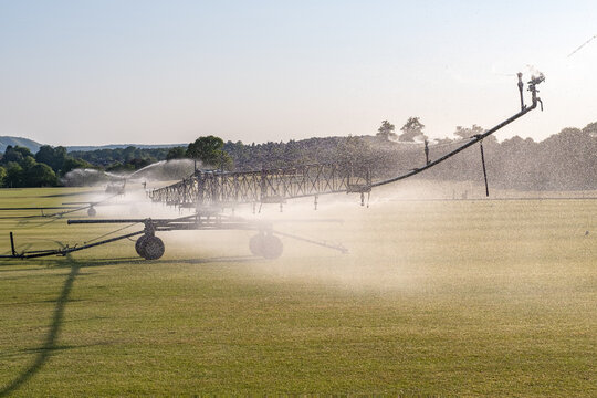 Irrigating the polo fields
