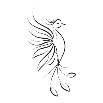 Beautiful And Elegant Phoenix Tattoo idea inspirational. Black And White Phoenix Tribal Tattoo design.