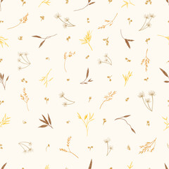 Seamless pattern with meadow herbs. Botanical background with small leaves. Golden autumn ornament. Vector  illustration. Reeds, pampas grass, dried grass. Sketch.