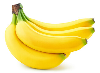 Bunch of bananas isolated