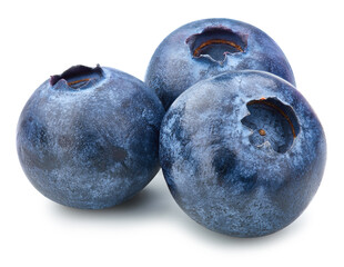 Obraz premium Blueberry Isolated with clipping path