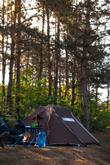 Tourist camp. tents and folding chairs with table. Camping equipment. Pine forest. Sunny summer morning. Travel and active lifestyle. No body. Hookah flask, water bottle. Vertical photo.