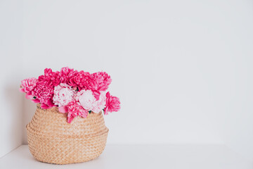 Heap of beautiful fresh pink peony flowers in full bloom in straw bag on white background. Blooming peonies. Copy space for text.