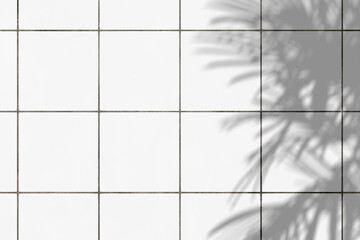 White tile wall or floor background with palm leaves shadow.