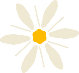 White daisy element illustration