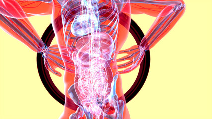 Abstract motion design of backpain and kidneys